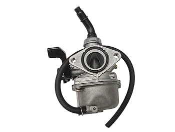 Amazon.com: New Carburetor PZ19 With Choke Lever for Chinese